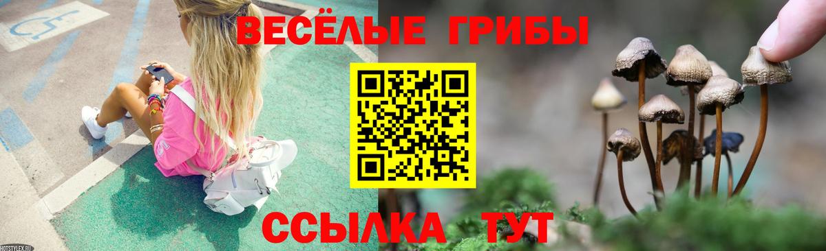 Псилоцибиновые грибы мухоморы  Вход с VPN  Псилоцибиновые грибы прущие грибы  Избербаш 