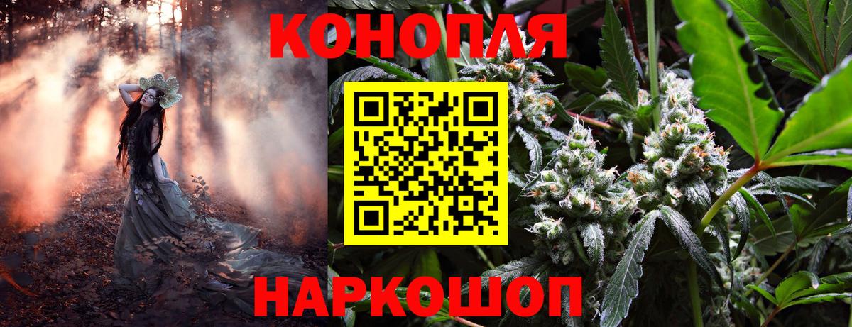 Бошки Шишки White Widow  Канабис марихуана  Канабис THC 21%  Избербаш  Вход с VPN  Бошки Шишки сатива 
